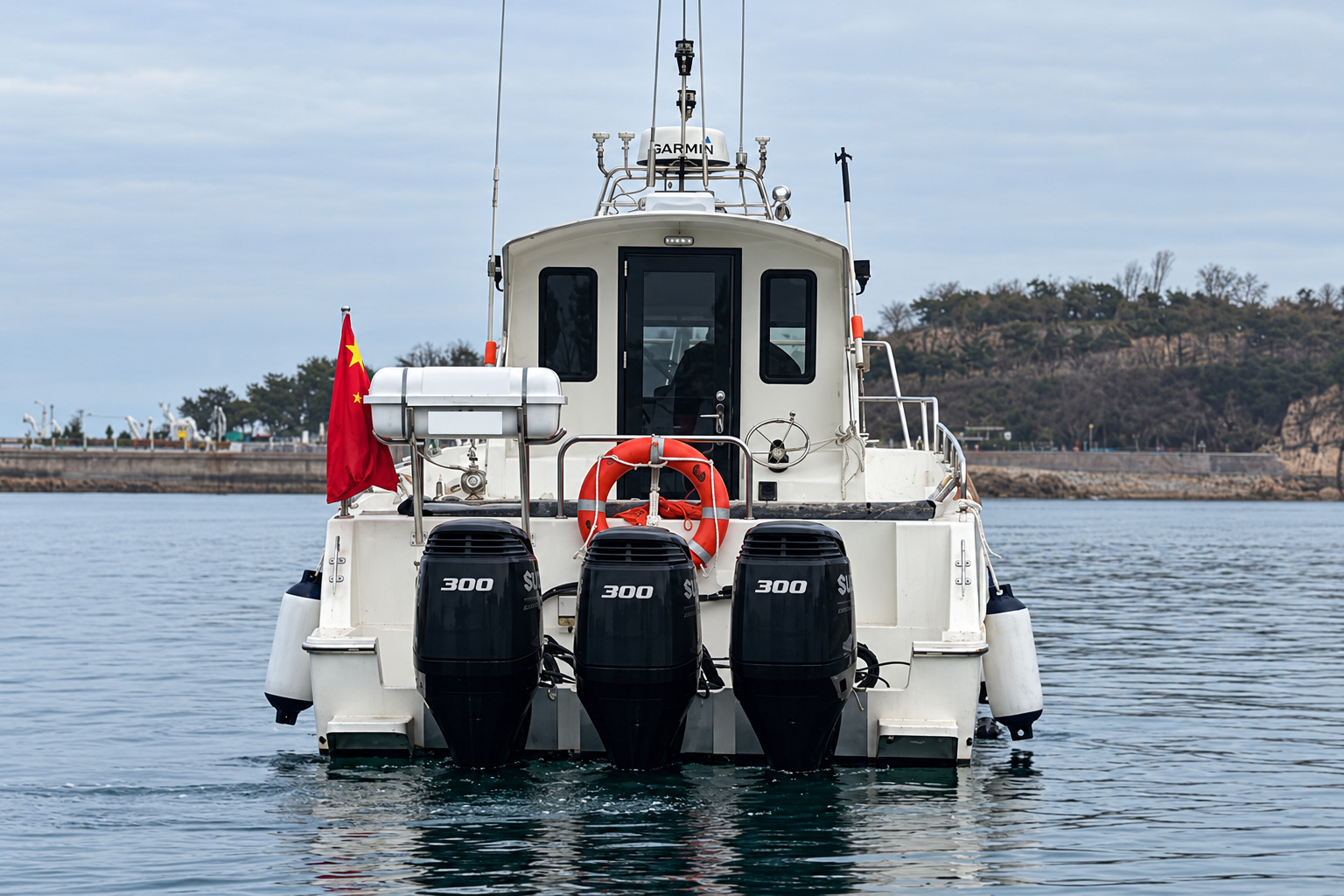 FG 39, image 3