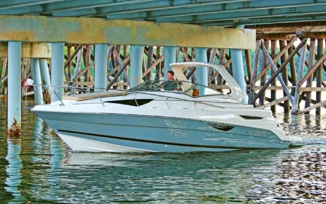 Larson Cabrio 315, image 3