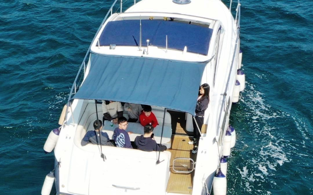 Unconfirmed shipyard 4100 T-TOP, image 3